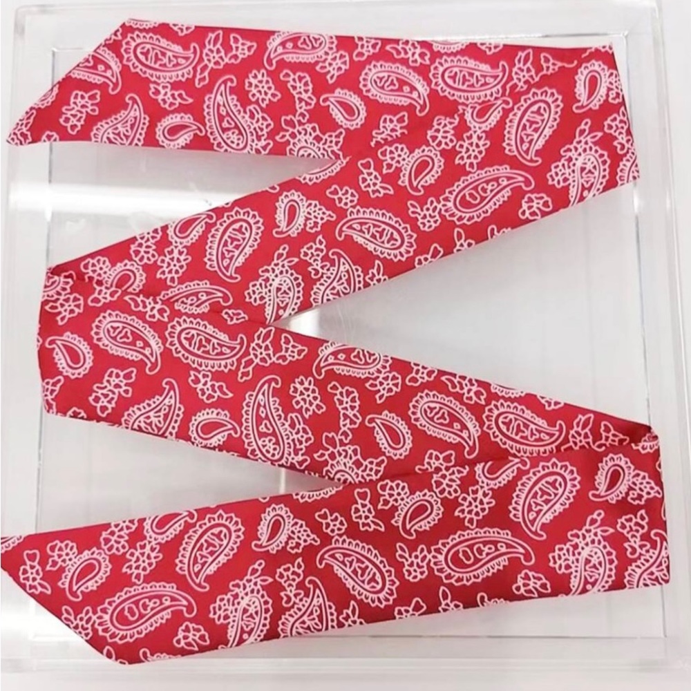 Thin Purse Scarf / Hairband / Scarf  - #458 / 5 for $70